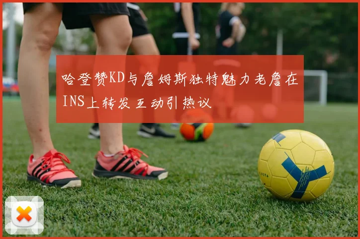 哈登赞KD与詹姆斯独特魅力老詹在INS上转发互动引热议