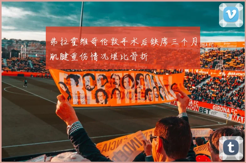 弗拉霍维奇伦敦手术后缺席三个月肌腱重伤情况堪比骨折